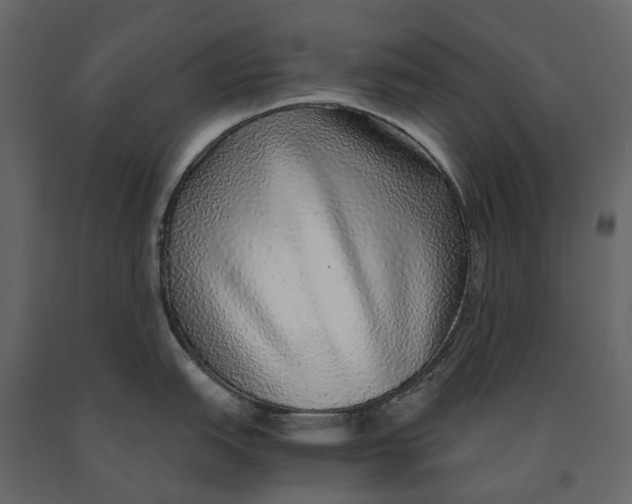 X0000091101151200708271311