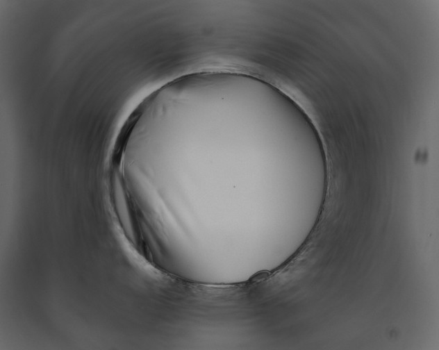 X0000091101152200708271311