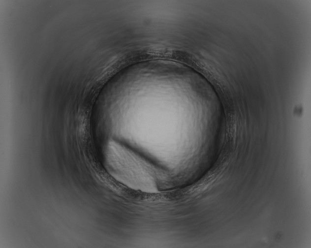 X0000091101154200708271311