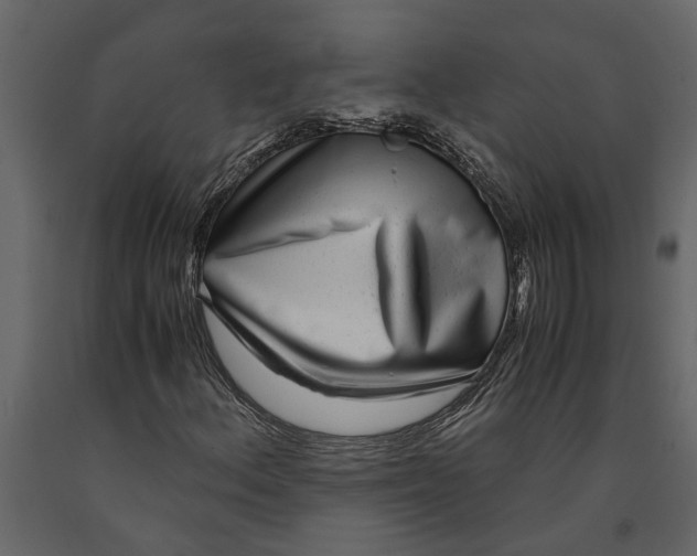 X0000091101156200708271310