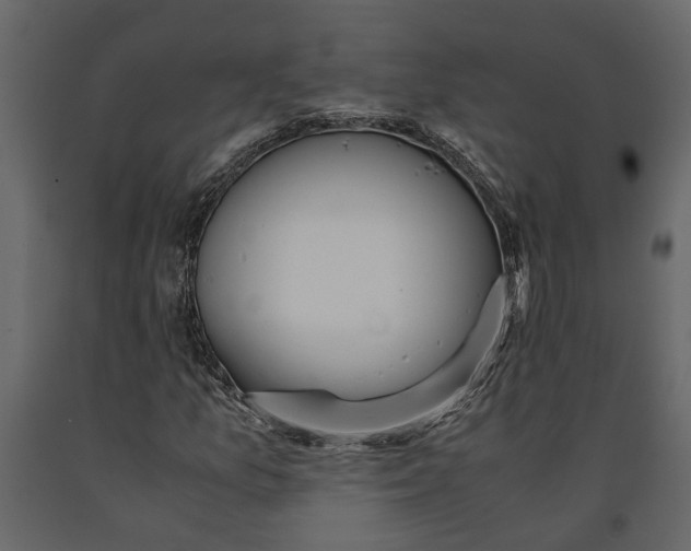 X0000091101157200708271310