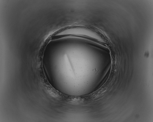 X0000091101160200708271310