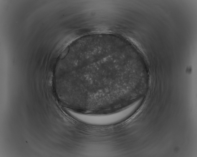 X0000091101161200708271310