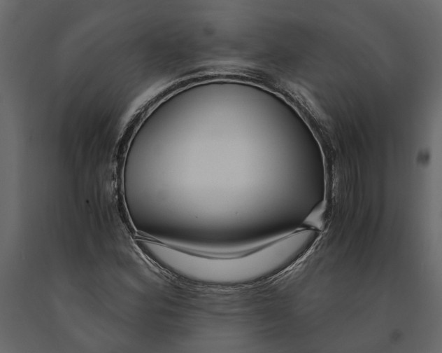 X0000091101164200708271310