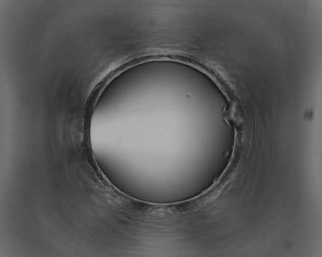 X0000091101165200708271310