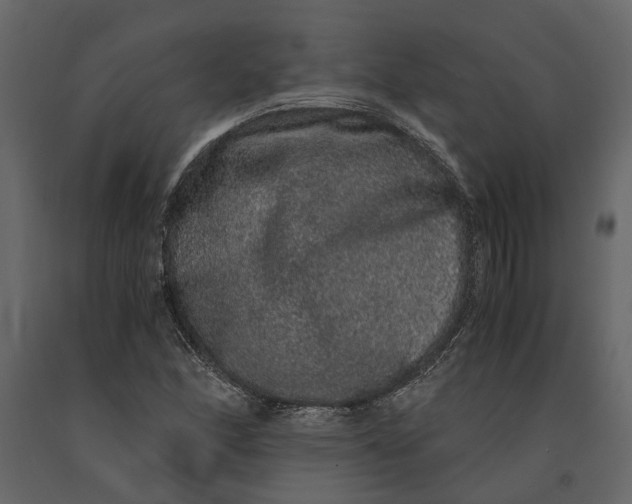 X0000091101166200708271310