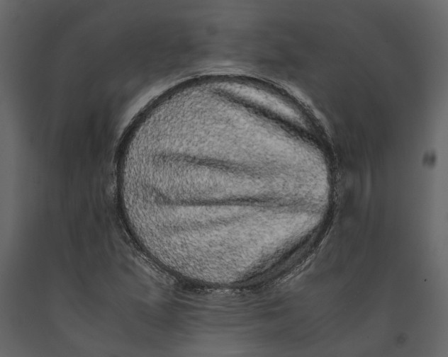 X0000091101167200708271310