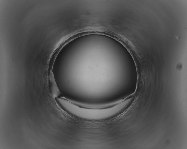 X0000091101168200708271310