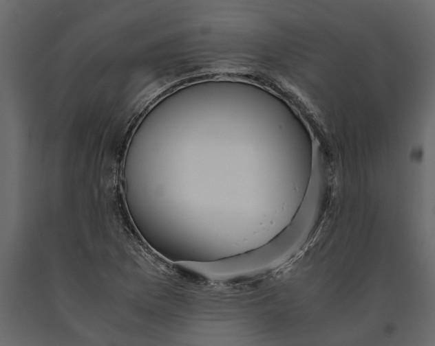 X0000091101169200708271310