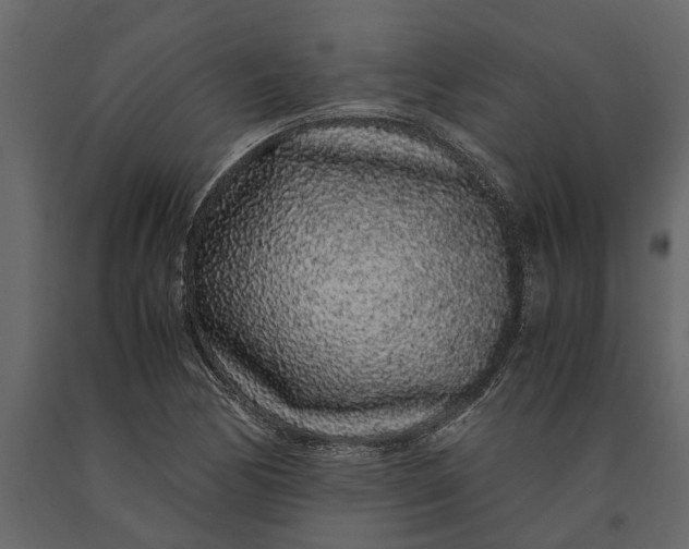 X0000091101170200708271310