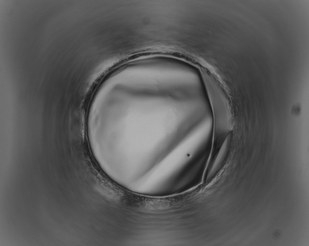 X0000091101171200708271310