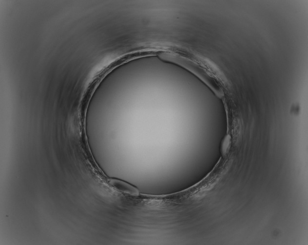 X0000091101172200708271310