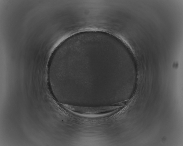 X0000091101173200708271310