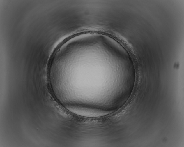 X0000091101174200708271310