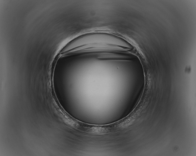 X0000091101176200708271310