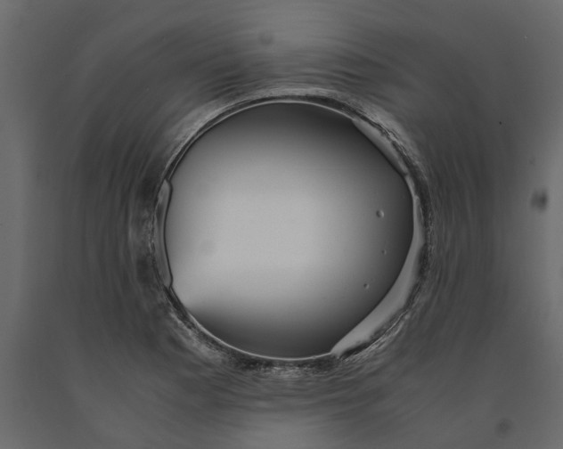 X0000091101177200708271310