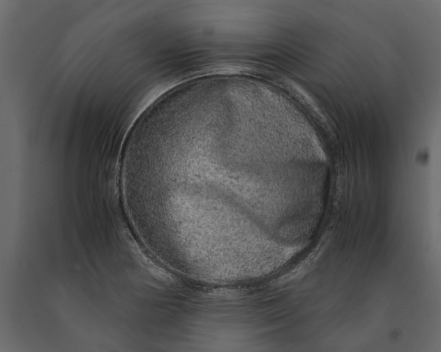 X0000091101178200708271310