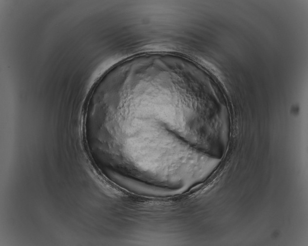 X0000091101179200708271310