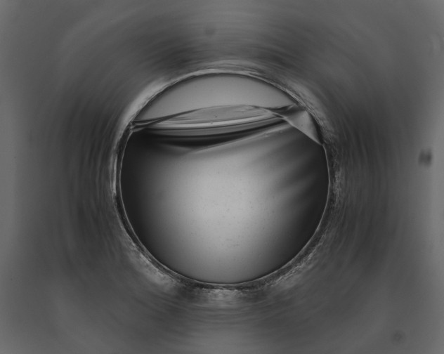 X0000091101180200708271310