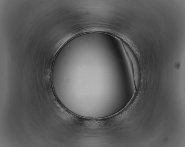 X0000091101185200708271310