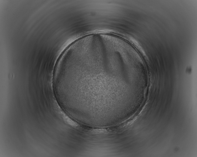 X0000091101186200708271310