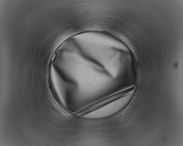 X0000091101187200708271310