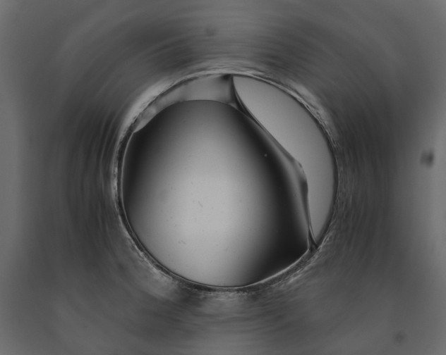 X0000091101188200708271310