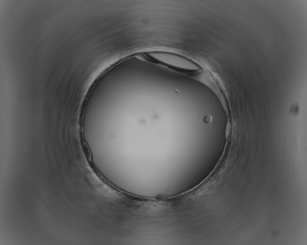 X0000091101189200708271310