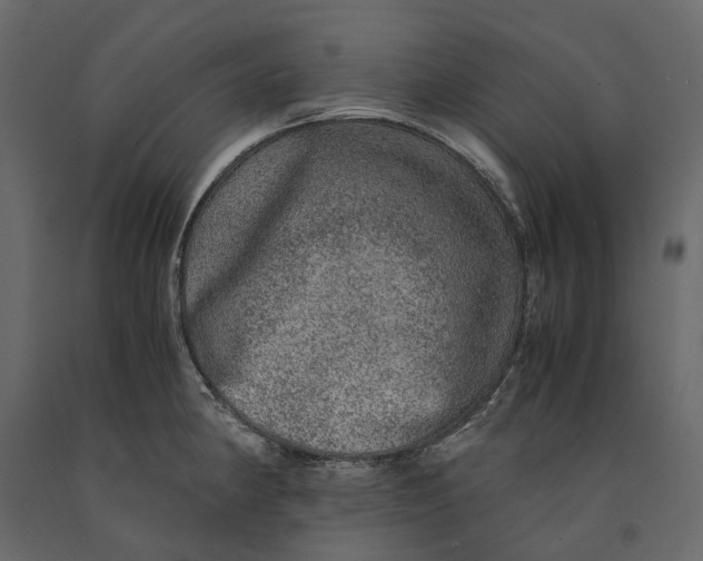 X0000091101190200708271310