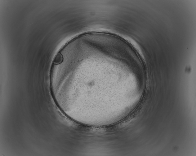 X0000091101191200708271310