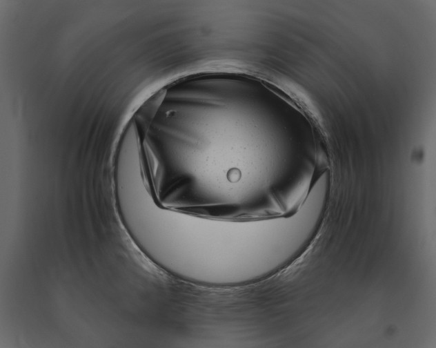 X0000091101192200708271310