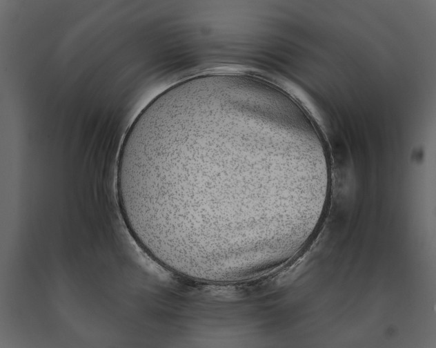 X0000091101194200708271310