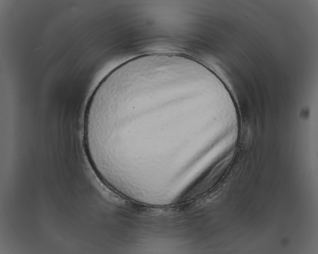 X0000091101195200708271310