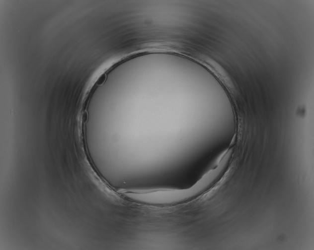 X0000091101196200708271310