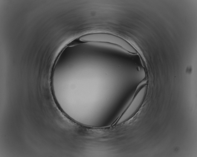 X0000091101197200708271310