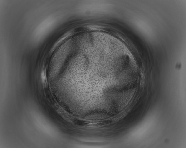 X0000091101198200708271310