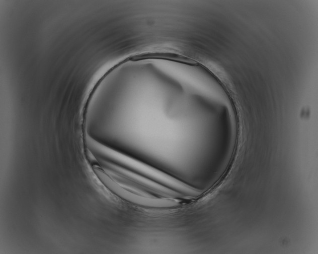 X0000091101200200708271310