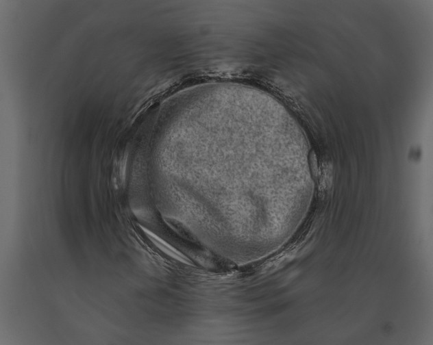 X0000091101202200708271309