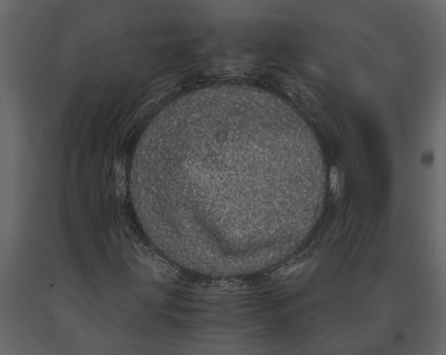 X0000091101203200708271309