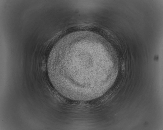 X0000091101204200708271309