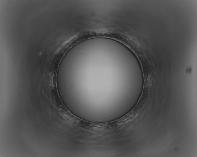 X0000091101205200708271309