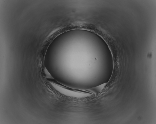 X0000091101206200708271309