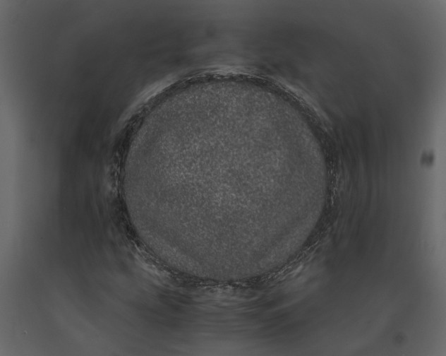 X0000091101207200708271309