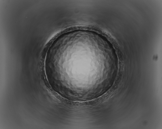 X0000091101208200708271309