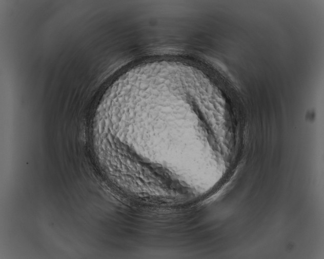 X0000091101209200708271309