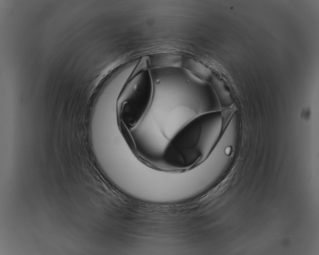 X0000091101210200708271309