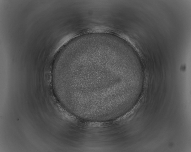 X0000091101211200708271309