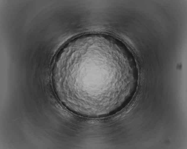 X0000091101212200708271309