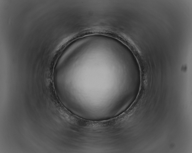 X0000091101213200708271309