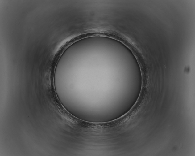 X0000091101214200708271310